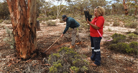 Ngadju people in the bush recording water trees using a camera and rake