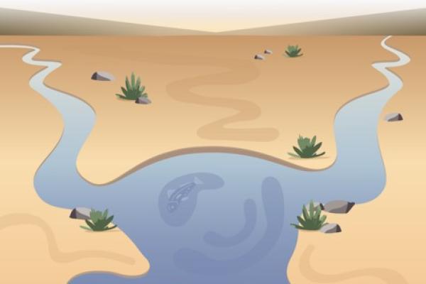 Empowered Communities Final Report cover