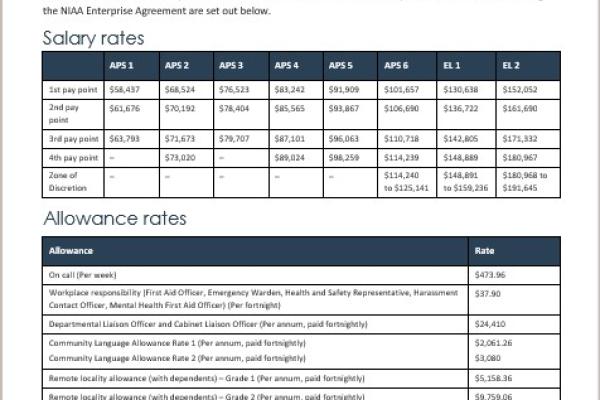 Non-SES salary and allowance rates