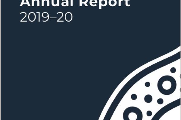 NIAA 2019-20 Annual Report