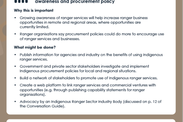 Indigenous Ranger Sector Strategy: Strong Economy (Business) - Proposed Actions